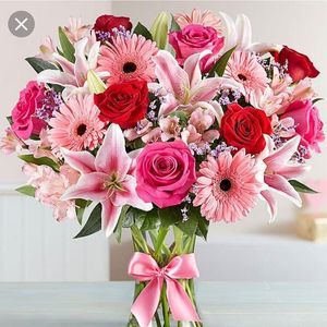 Meet your Posher, Kaylee